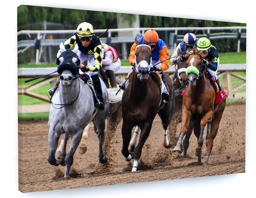 Horse racing canvas picture - canvas,