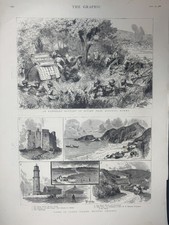 Old Antique Print 1886