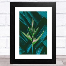 Green Flower On Dark Tropical Foliage Wall Art Print