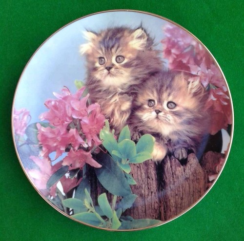 Heavenly twins cat plate - twins,