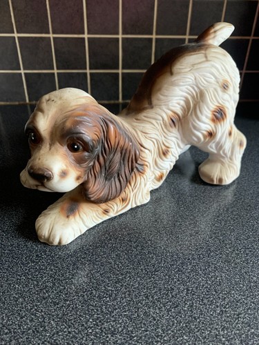 Antique cooker spaniel - cooker,