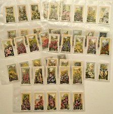 Original Gallaher Cigarette