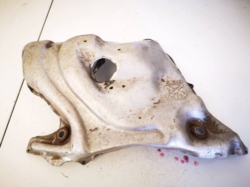 Exhaust head shield for - exhaust,
