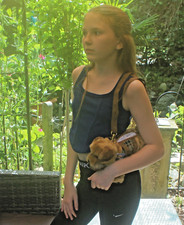 Border Terrier shaped hand or shoulder bag by Faithful Friends Collectables