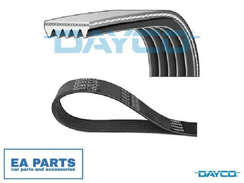 Ribbed belts for suzuki - v-ribbed,