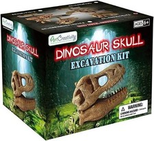 Dinosaur Skull Excavation Kit, 4 assorted 1 Pc