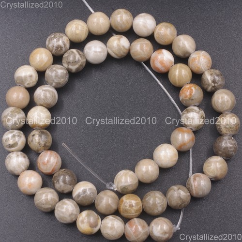 Natural coral fossil gemstone - natural,
