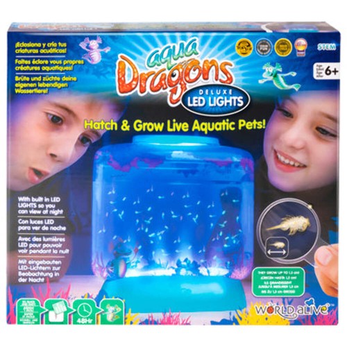 Aqua dragons underwater world - dragons,
