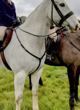 Jeffries Brown Leather Martingale XFULL Size