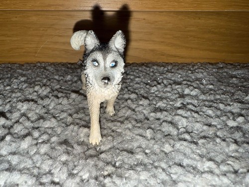 Schleich husky dog - husky,