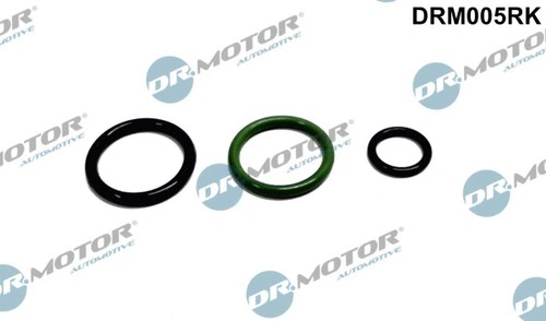 Repair kit pump nozzle unit - repair, pump-nozzle