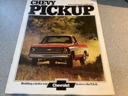 1973 chevrolet pickup truck - 1973,