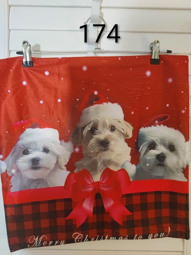 Christmas maltese puppies - maltese,