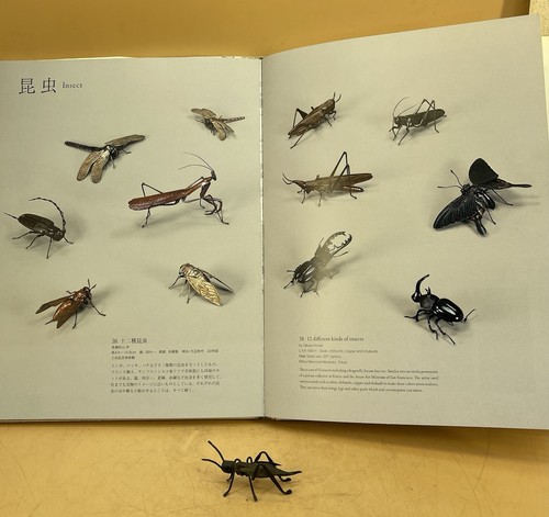 Fine japanese meiji - meiji, bronze