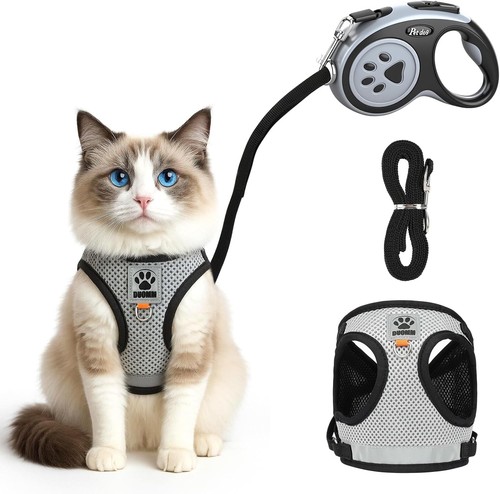 Cat harness and lead - lead, set