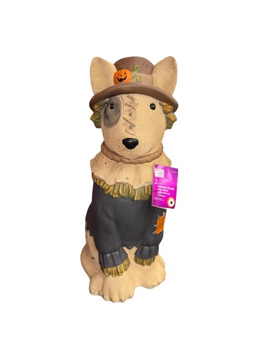 2026 home depot accents ft - 2026, 2.5