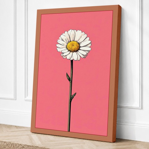 Single daisy bloom - daisy,