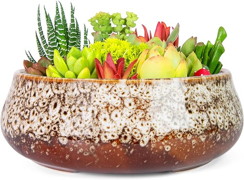 Artketty succulent plant pot - succulent,