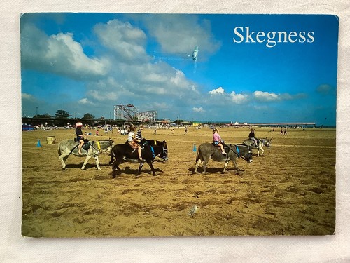 Skegness donkey rides - skegness,,