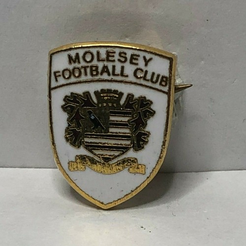 Molesey non league football - molesey,