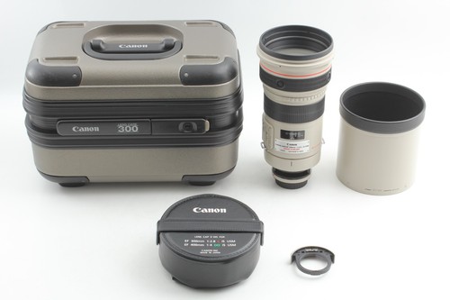 Top mint trunk canon - trunk】,