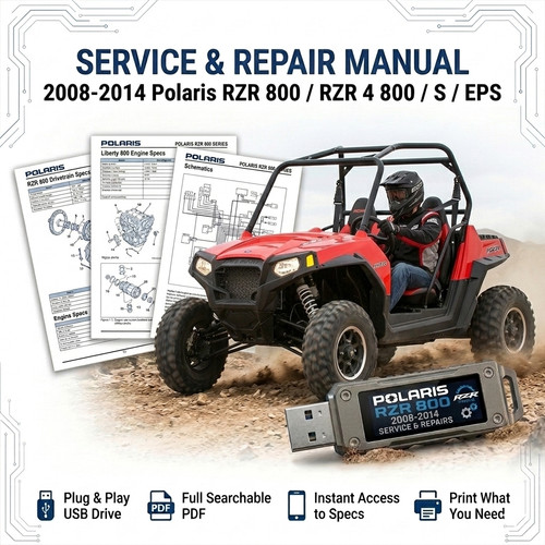 Polaris rzr 800 2008 - rzr,