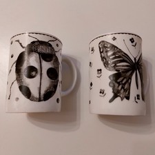 Rose of England Fine Bone