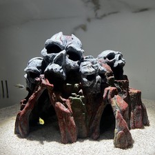 Large Skull Rock Mountain