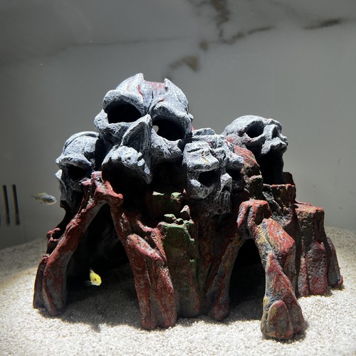 Large skull rock mountain - skull,