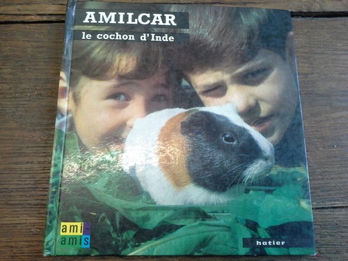 Amilcar the guinea - the,