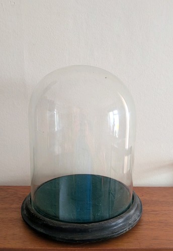 Antique glass display - glass, dome