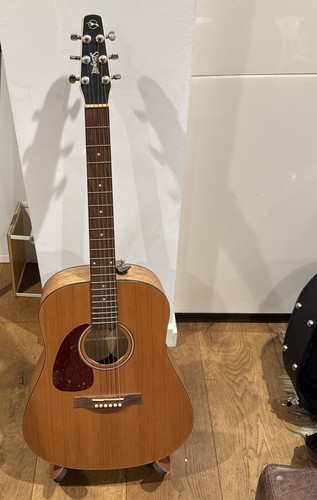 Seagull original acoustic - seagull,