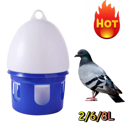 Automatic bird pigeons feeder - bird,