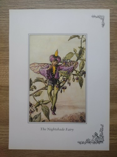 Cicely mary barker heather - cicely,