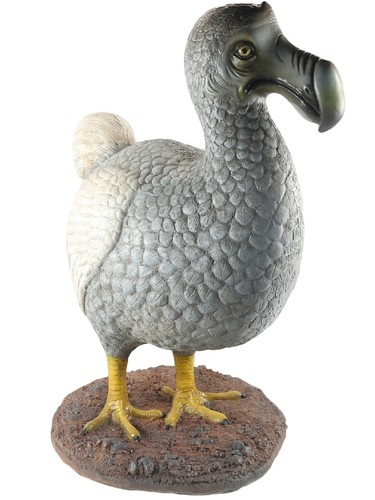 93cm dodo flightless bird - flightless,