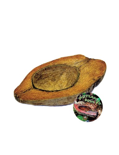 Rex reptile terrarium decor - terrarium,