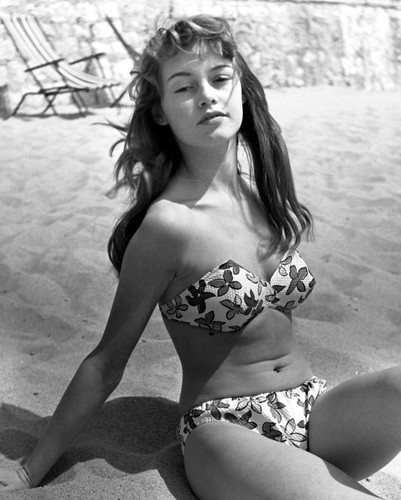 Brigitte bardot 8x10 photo - brigitte,