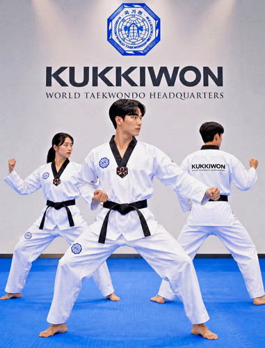 Kukkiwon world taekwondo - kukkiwon,