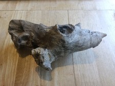 Unique Knotted Driftwood Piece 21x8x9 Ideal For Craft / Ornament / Vivarium