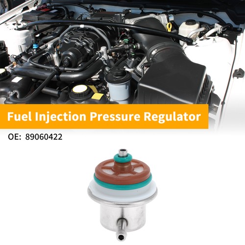 Fuel pressure regulator for - fuel,