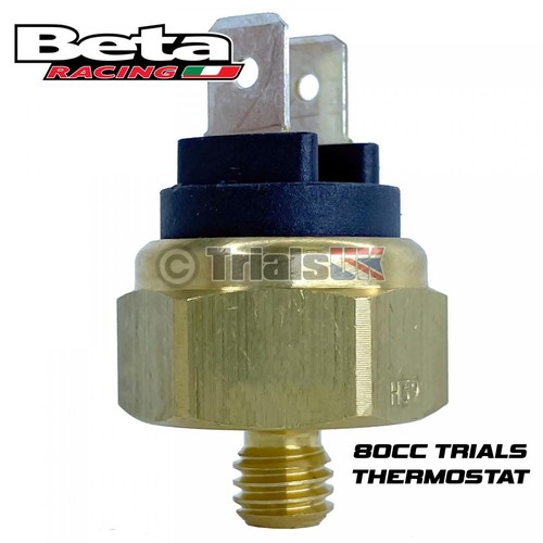 Beta evo 80cc - 80cc, thermostat
