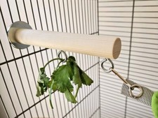 Pet Cage Perch & Hooks -