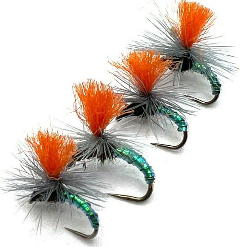 Trout fly fishing dry - ,