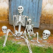 Human Skeleton Halloween Decoration Skull Hanging Party Pose House Decoration