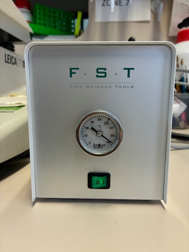 Fst glass bead - bead, sterilizer