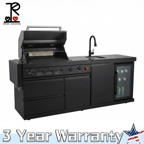 Burner 300 btu lpg ng - 6-burner, lpg/ng