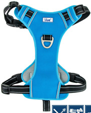 Dog Travel Harness - Viva Blue. Use In Car/Walks. Adjustable, Reflective, Padded