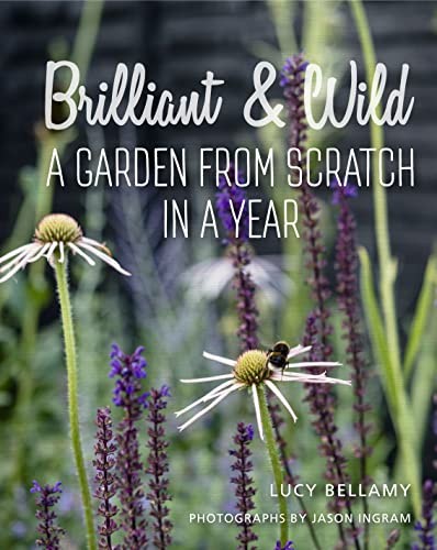 Brilliant and wild - a, garden