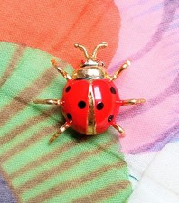 Vintage 1950s Ladybird Brooch. Cold Painted Enamel. Sustainable. Gift Wrapped