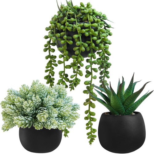 Set artificial succulent - 3,